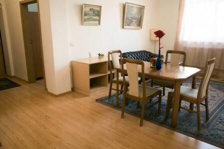 Town Hall 3 Bedroom Apartment Аеропорт Вільнюс Екстер'єр фото