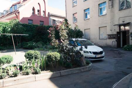 Town Hall 3 Bedroom Apartment Аеропорт Вільнюс Екстер'єр фото